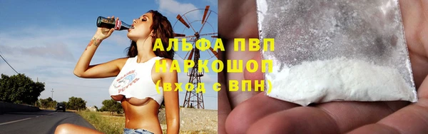 сатива Дмитровск