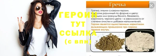 сатива Дмитровск