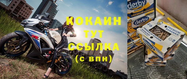 сатива Дмитровск