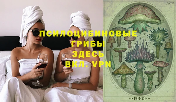 спайс Дмитриев