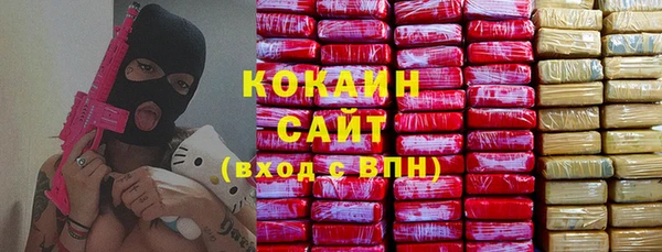 сатива Дмитровск