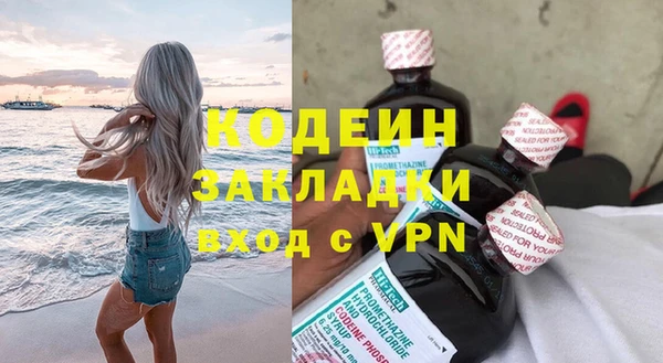 сатива Дмитровск