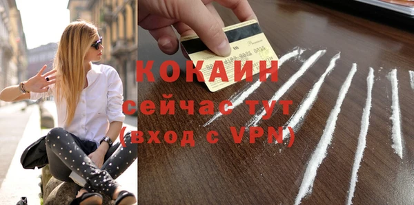 спайс Дмитриев