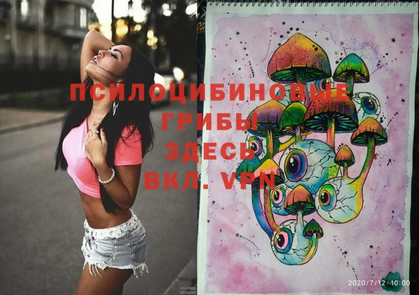 спайс Дмитриев
