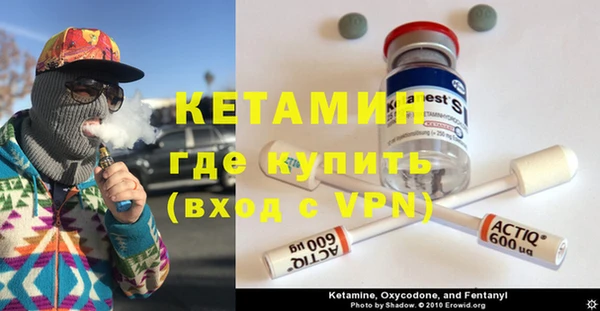 сатива Дмитровск