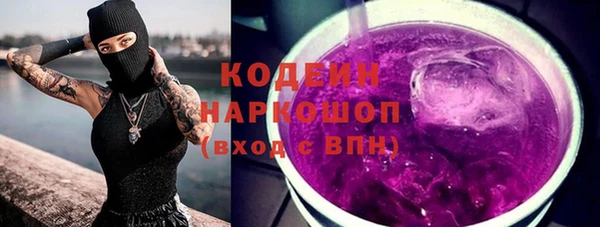 сатива Дмитровск