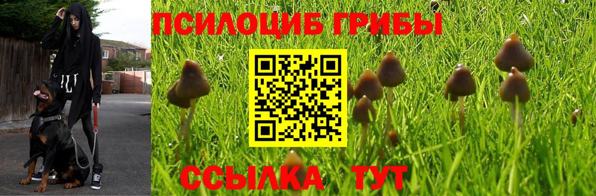 Псилоцибиновые грибы мухоморы Осинники