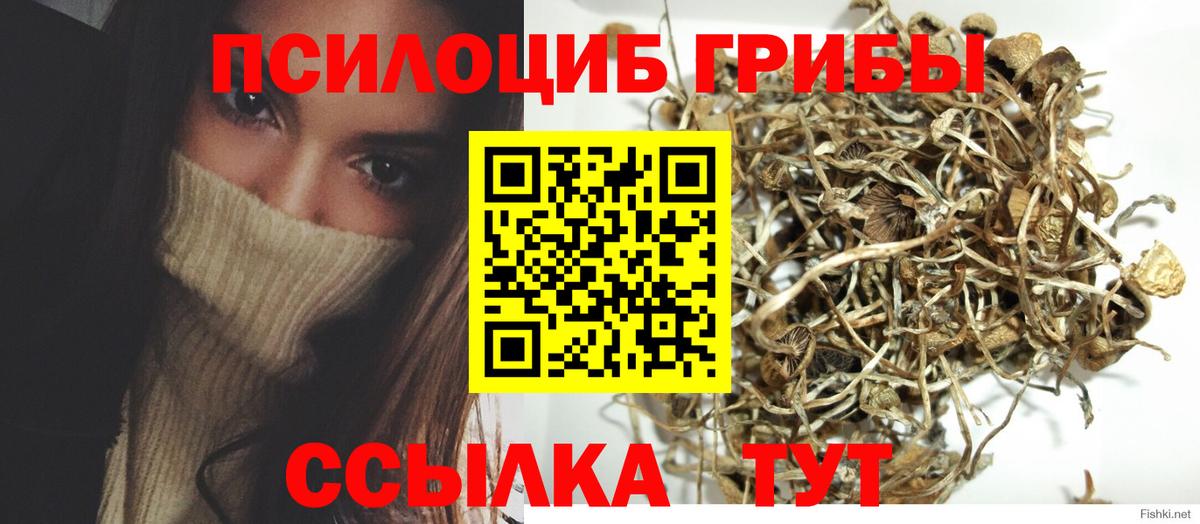 Галлюциногенные грибы Cubensis  Вход с VPN  Осинники  Галлюциногенные грибы Cubensis 